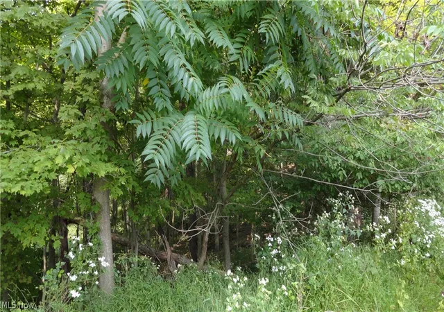 Homes for sale in Weirton, WV | Tbd Bryden Rd, Weirton, WV 26062 | MLS# 5050224