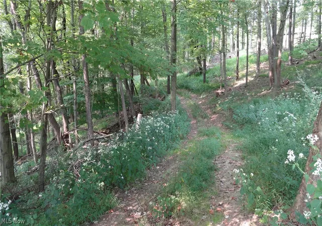 Homes for sale in Weirton, WV | Tbd Bryden Rd, Weirton, WV 26062 | MLS# 5050224