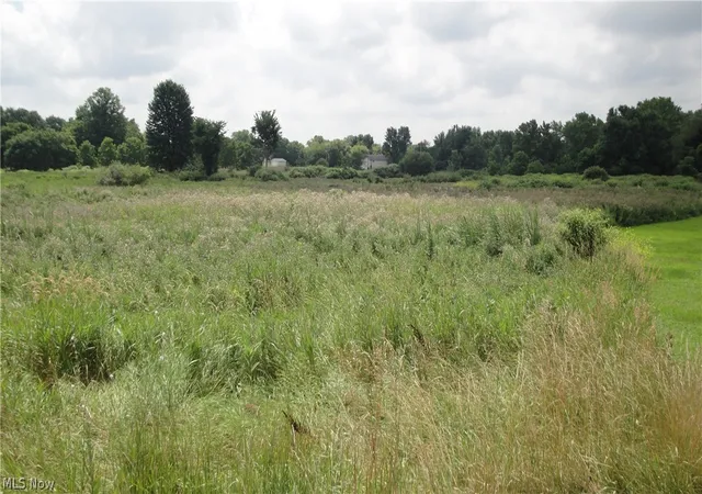 1st image of Burbank St, Creston, OH 44217 | MLS# 5051783