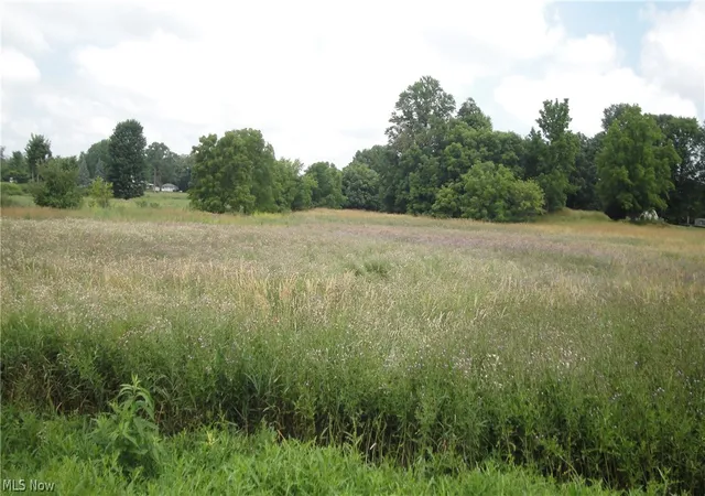 3rd image of Burbank St, Creston, OH 44217 | MLS# 5051783