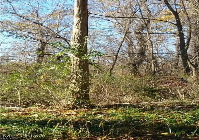 1st image of 0 Watson Rd, Saint Clairsville, OH 43950 | MLS# 5068291