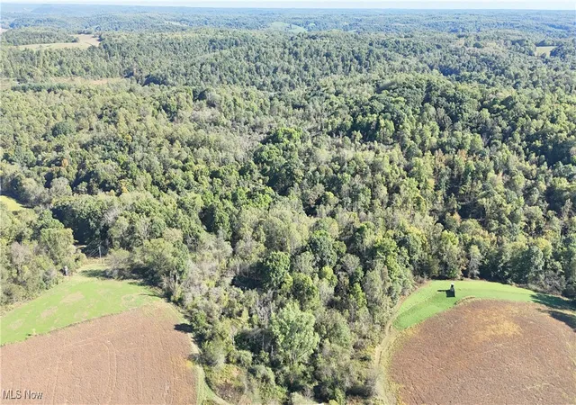 4th image of Township Road 42, Coshocton, OH 43812 | MLS# 5075210