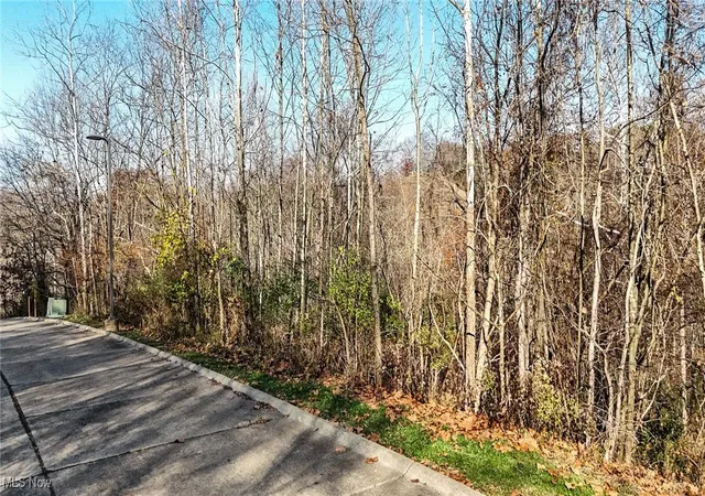 Homes for sale in Marietta, OH | Lot #8 Mountain Laurel Dr, Marietta, OH 45750 | MLS# 5085530
