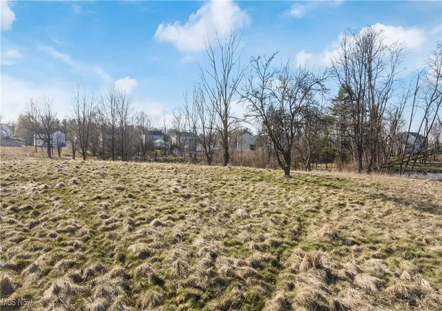 3rd image of Wadsworth Rd, Medina, OH 44256 | MLS# 5089011