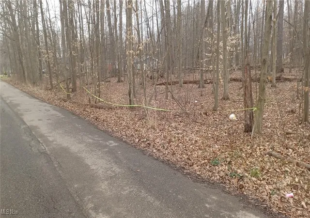 Photo 1 of Land for sale at Idylwild Ave, Lake Milton, OH 44429 | MLS# 5091876 | Listing updated on 2026-07-29