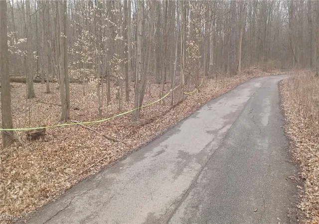 Photo 2 of Land for sale at Idylwild Ave, Lake Milton, OH 44429 | MLS# 5091876 | Listing updated on 2026-07-29