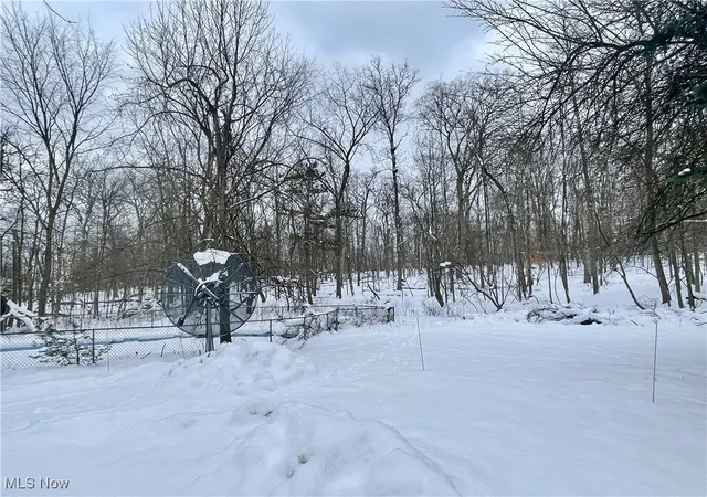 Photo 1 of Land for sale at 7791 Hoertz Rd, Cleveland, OH 44134 | MLS# 5093391 | Listing updated on 2026-10-01