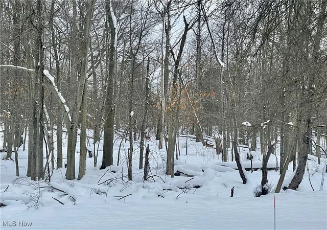 Photo 3 of Land for sale at 7791 Hoertz Rd, Cleveland, OH 44134 | MLS# 5093391 | Listing updated on 2026-10-01