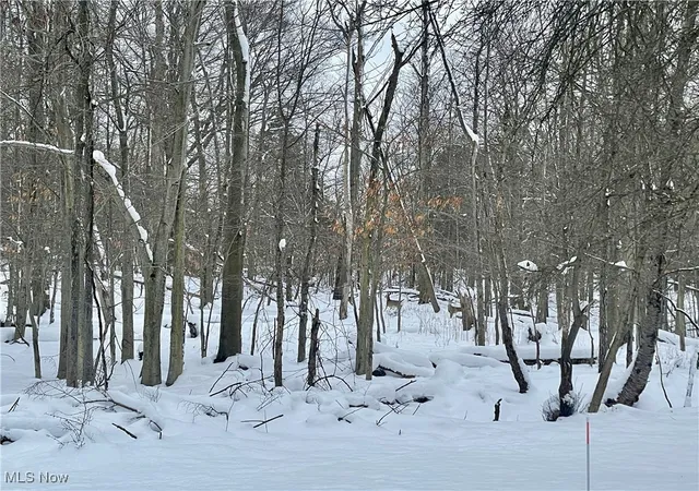 Photo 3 of Land for sale at 7791 Hoertz Rd, Cleveland, OH 44134 | MLS# 5093391 | Listing updated on 2026-10-01