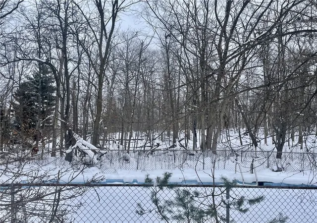 Photo 4 of Land for sale at 7791 Hoertz Rd, Cleveland, OH 44134 | MLS# 5093391 | Listing updated on 2026-10-01