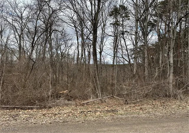 Photo 3 of Land for sale at 0 Fisher Ridge Rd, Fleming, OH 45729 | MLS# 5103343 | Listing updated on 2026-08-25