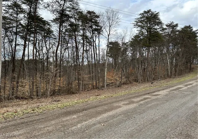 Photo 3 of Land for sale at 0 Fisher Ridge Rd, Fleming, OH 45729 | MLS# 5103343 | Listing updated on 2026-08-25