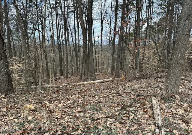 Photo 4 of Land for sale at 0 Fisher Ridge Rd, Fleming, OH 45729 | MLS# 5103343 | Listing updated on 2026-08-25