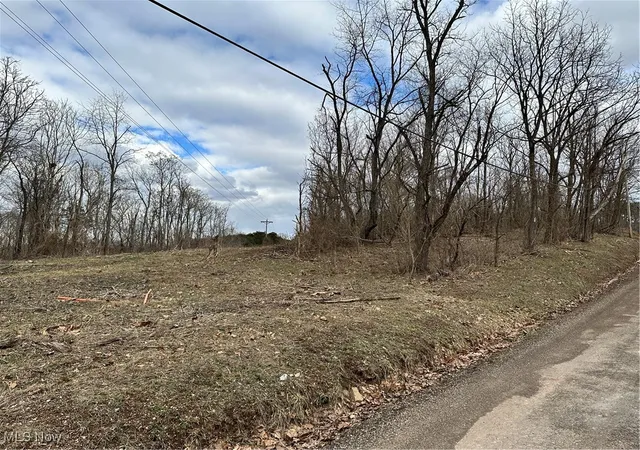 Homes for sale in Fleming, OH | 0 Fisher Ridge Rd, Tract 5, Fleming, OH 45729 | MLS# 5103336