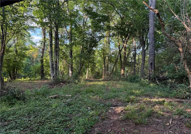 Photo 2 of Land for sale at 0 Fisher Ridge Rd, Tract 5, Fleming, OH 45729 | MLS# 5103336 | Listing updated on 2026-08-25