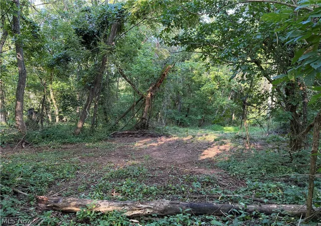 Photo 3 of Land for sale at 0 Fisher Ridge Rd, Tract 5, Fleming, OH 45729 | MLS# 5103336 | Listing updated on 2026-08-25