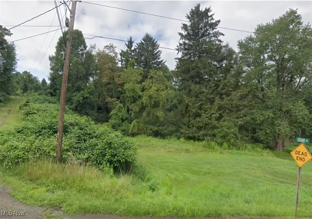 Homes for sale in Weirton, WV | Tbd Mchendry St, Weirton, WV 26062 | MLS# 5103951