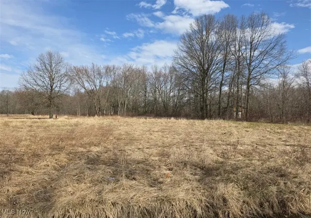 Photo 1 of Land for sale at 3366 Eagle Creek Rd, Leavittsburg, OH 44430 | MLS# 5106924 | Listing updated on 2026-07-14