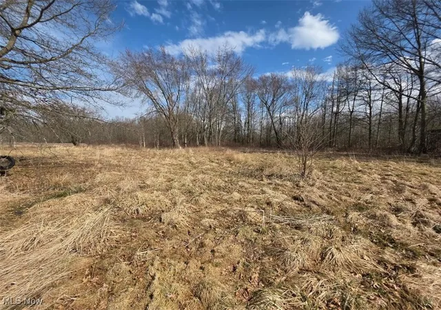 Photo 3 of Land for sale at 3366 Eagle Creek Rd, Leavittsburg, OH 44430 | MLS# 5106924 | Listing updated on 2026-07-14