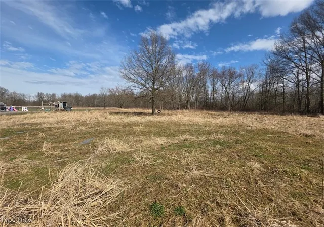 Photo 3 of Land for sale at 3366 Eagle Creek Rd, Leavittsburg, OH 44430 | MLS# 5106924 | Listing updated on 2026-07-14
