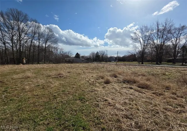 Photo 4 of Land for sale at 3366 Eagle Creek Rd, Leavittsburg, OH 44430 | MLS# 5106924 | Listing updated on 2026-07-14