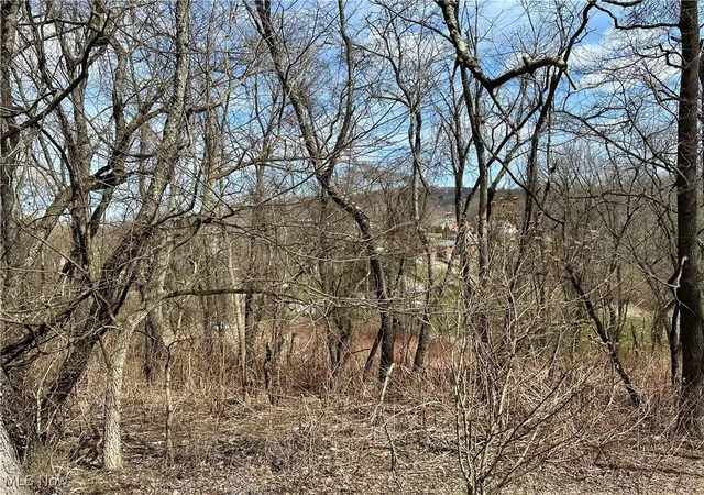 Photo 3 of Land for sale at Tbd Alta St, Weirton, WV 26062 | MLS# 5109041 | Listing updated on 2026-04-27