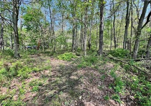 2nd image of Royal St, Midvale, OH 44653 | MLS# 5118670