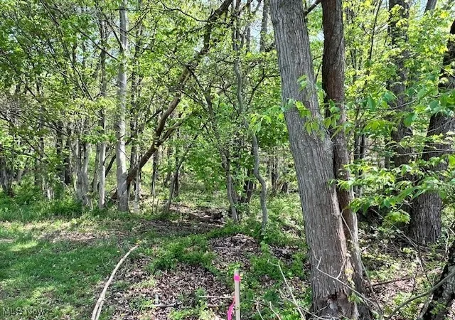 Photo 3 of Land for sale at Royal St, Midvale, OH 44653 | MLS# 5118670 | Listing updated on 2026-05-03