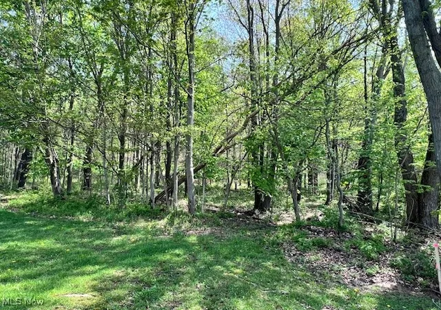 4th image of Royal St, Midvale, OH 44653 | MLS# 5118670