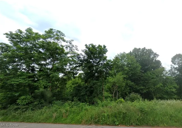 Homes for sale in Massillon, OH | Lot 25 Forest Ave Se, Massillon, OH 44646 | MLS# 5119105
