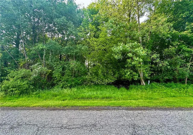 1st image of Powder Mill Run, Youngstown, OH 44505 | MLS# 5127333
