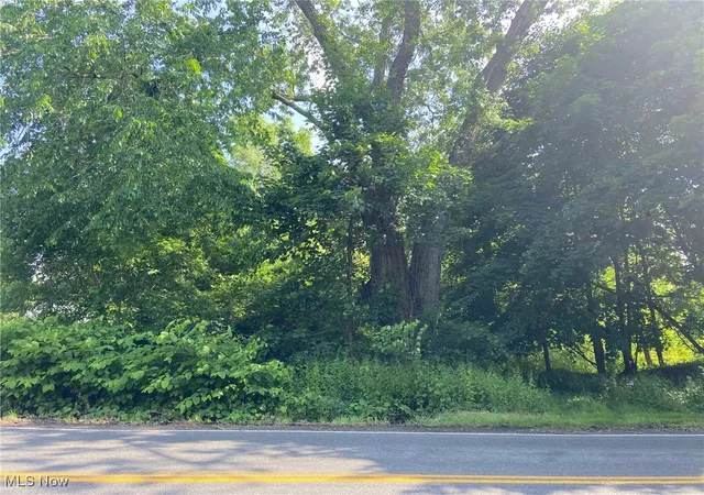 Photo 1 of Land for sale at W Warner Rd, Akron, OH 44319 | MLS# 5127406 | Listing updated on 2025-12-29