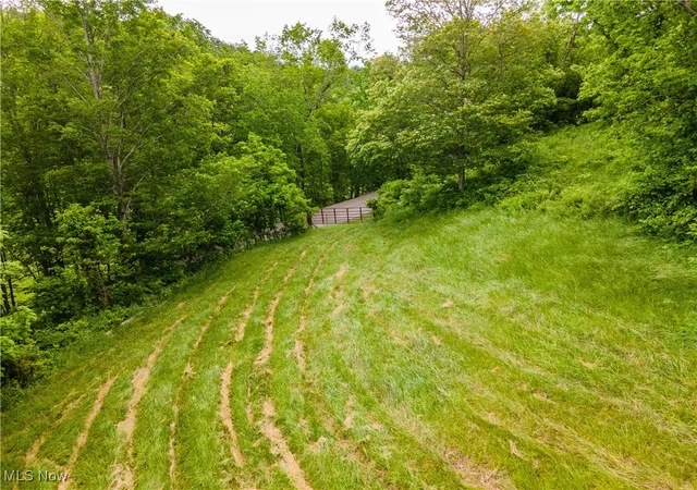 Photo 2 of Land for sale at 31647 Charleston Rd, Leon, WV 25123 | MLS# 5132027 | Listing updated on 2026-06-12