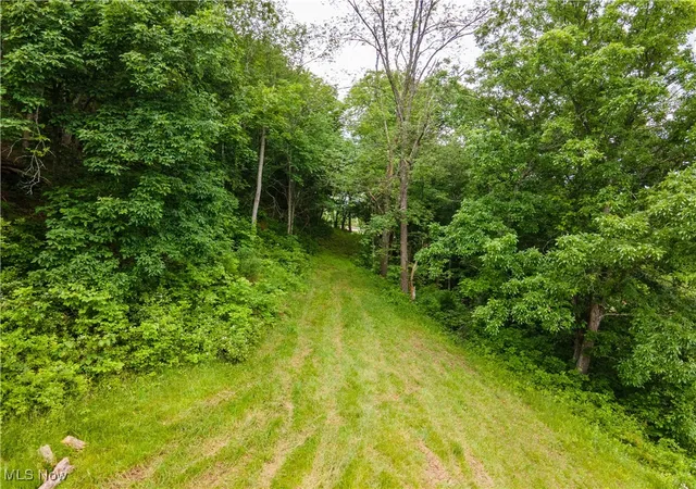 Photo 4 of Land for sale at 31647 Charleston Rd, Leon, WV 25123 | MLS# 5132027 | Listing updated on 2026-06-12