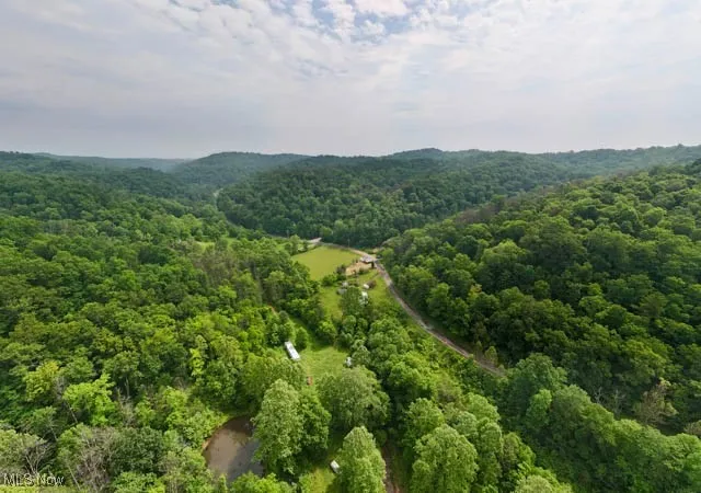 Homes for sale in New Matamoras, OH | 20920 County Road 9, New Matamoras, OH 45767 | MLS# 5137704