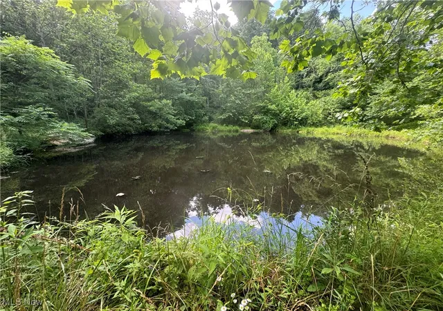 Homes for sale in New Matamoras, OH | 20920 County Road 9, New Matamoras, OH 45767 | MLS# 5137704