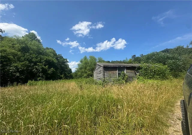 Homes for sale in New Matamoras, OH | 20920 County Road 9, New Matamoras, OH 45767 | MLS# 5137704