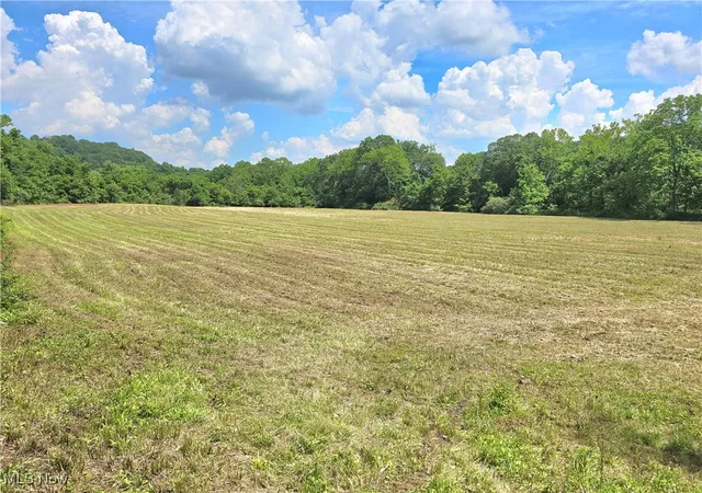 2nd image of 738 Acres Rosseau Co Rd 13 Rd, Stockport, OH 43787 | MLS# 5141358