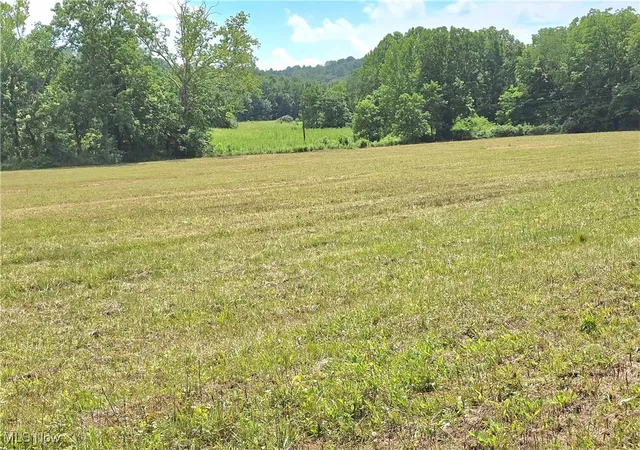 3rd image of 738 Acres Rosseau Co Rd 13 Rd, Stockport, OH 43787 | MLS# 5141358