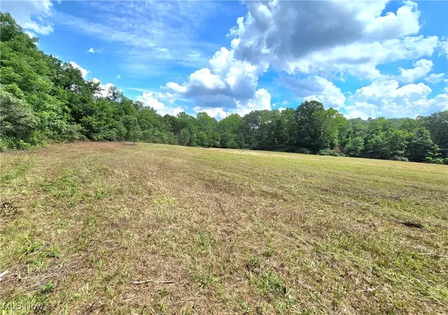 4th image of 738 Acres Rosseau Co Rd 13 Rd, Stockport, OH 43787 | MLS# 5141358