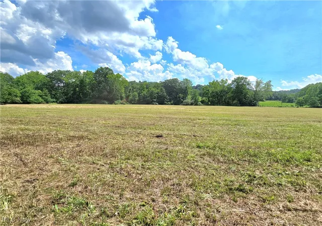 5th image of 738 Acres Rosseau Co Rd 13 Rd, Stockport, OH 43787 | MLS# 5141358
