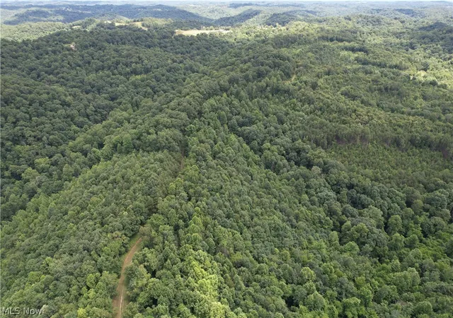 Photo 35 of Land for sale at County Rt 22, St Marys, WV 26170 | MLS# 5145048 | Listing updated on 2026-08-22