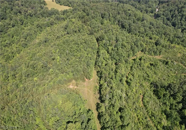 Photo 3 of Land for sale at County Rt 22, St Marys, WV 26170 | MLS# 5145048 | Listing updated on 2026-08-22