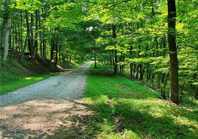 Homes for sale in St Marys, WV | County Rt 22, St Marys, WV 26170 | MLS# 5145048