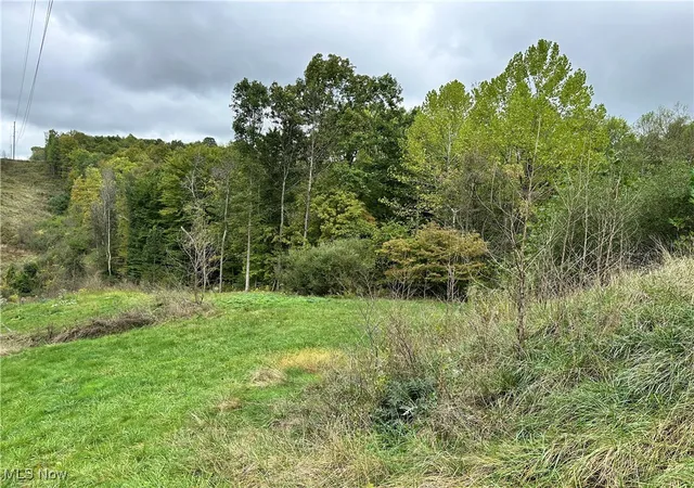 Homes for sale in Lowell, OH | 3275 Highland Ridge Rd Rd, Lowell, OH 45744 | MLS# 5149126