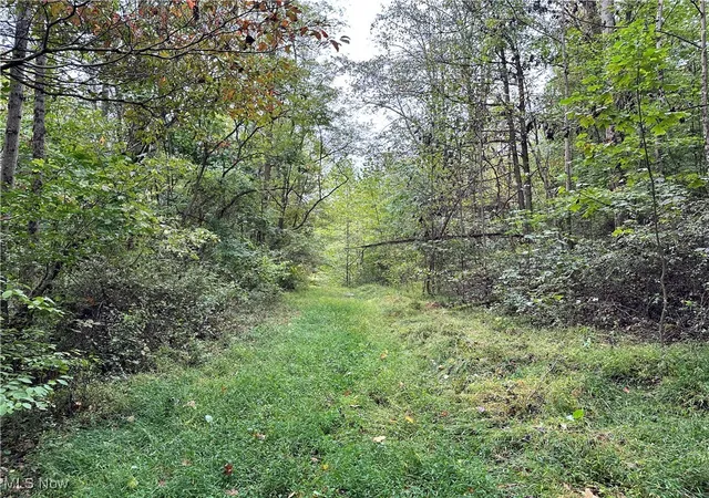 Homes for sale in Lowell, OH | 3275 Highland Ridge Rd Rd, Lowell, OH 45744 | MLS# 5149126