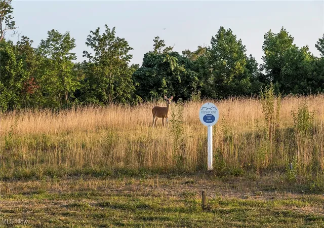 Photo 3 of Land for sale at 7595 Margaret Dr, North Royalton, OH 44133 | MLS# 5149869 | Listing updated on 2026-09-17
