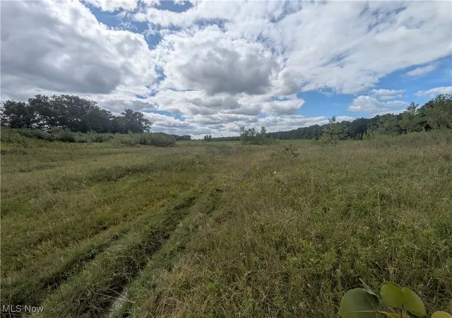 4th image of 9019 Sr 45 Rd, Saybrook, OH 44010 | MLS# 5156632