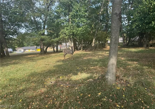 1st image of Harding  36b Rd, Zanesville, OH 43701 | MLS# 5157524