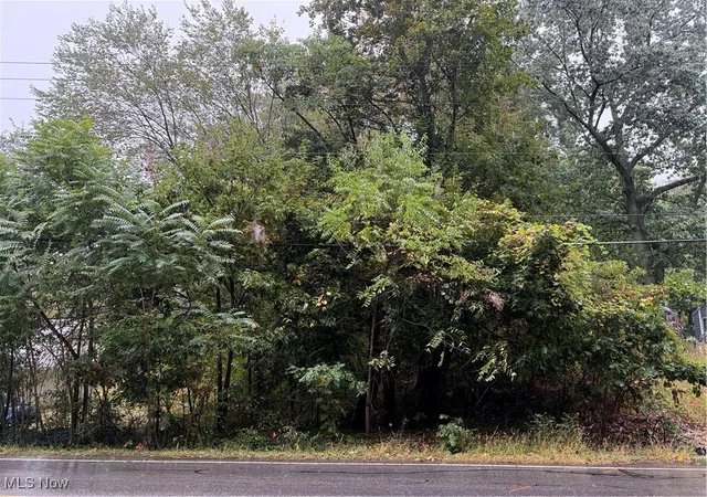 1st image of V/l Sanitarium Rd, Akron, OH 44312 | MLS# 5159875